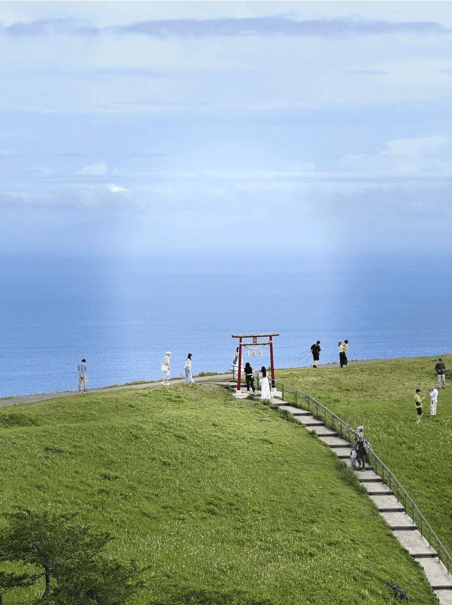 Grassy hillside path leading to a red torii gate by the sea