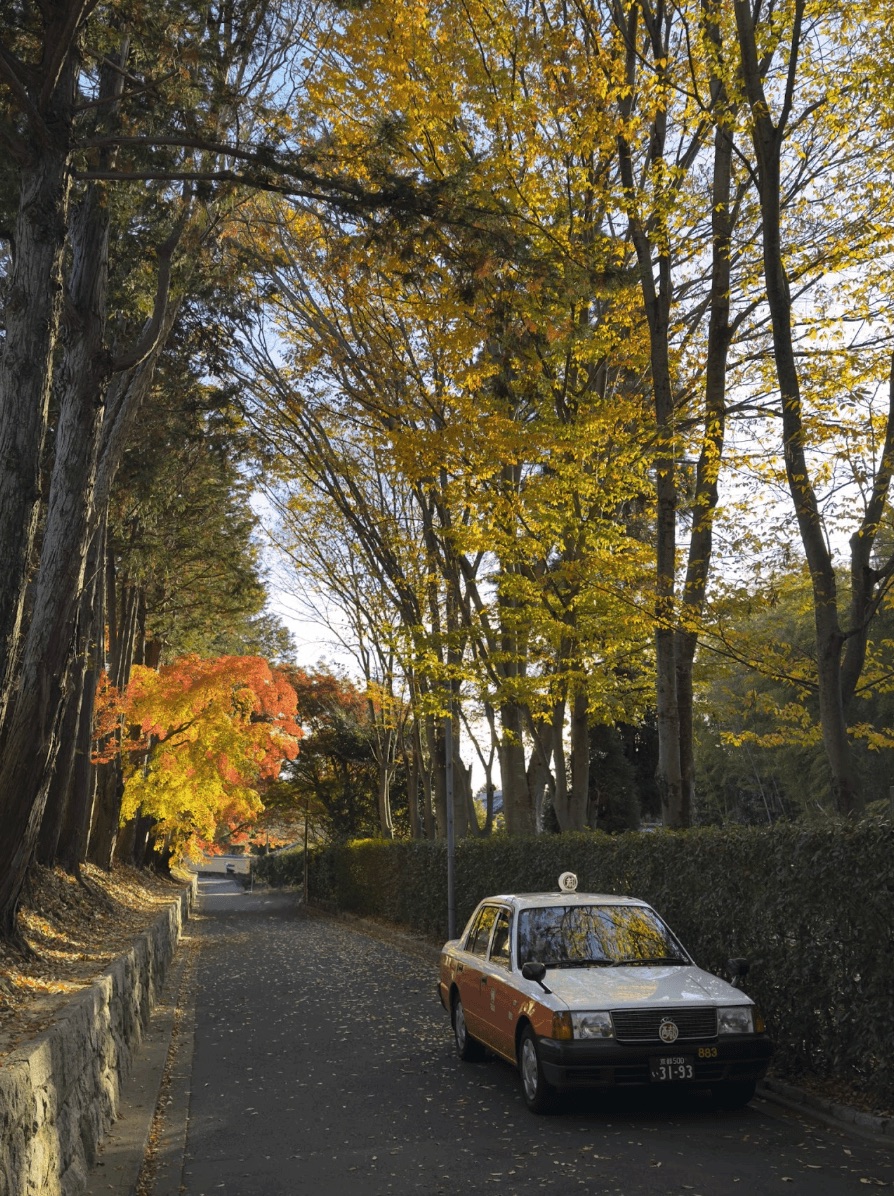 Tree-lined road in autumn with a parked car